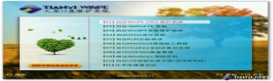 【201708】天意U盘维护系统三分区201708安装版（BIOS+UEFI双启）